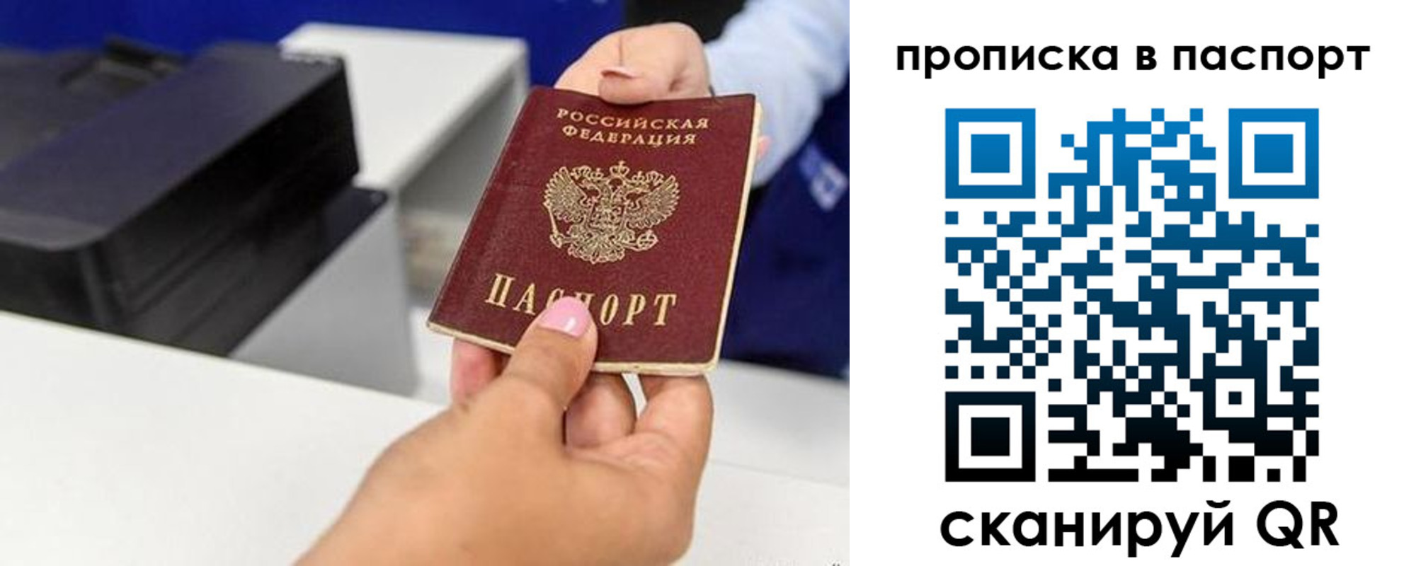 прописка поиск в Сертолово